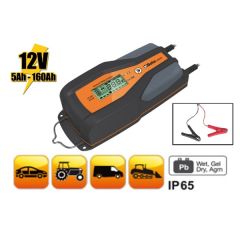 Beta 014980108 1498/8A Electronische batterijlader voor auto en bedrijfsvoertuigen, 12V