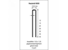 Haubold 503229 KL6040 CNK Nieten 40 mm Verzinkt 5000 stuks