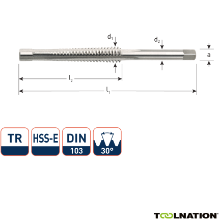 Rotec 356.1200 HSS-G Trapeziumtap TR12 x 3 - 1